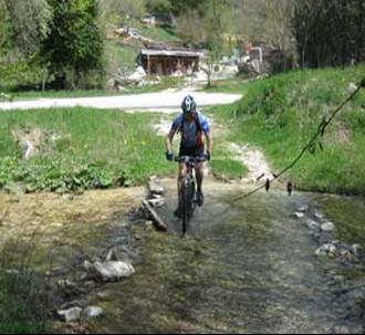 mtb